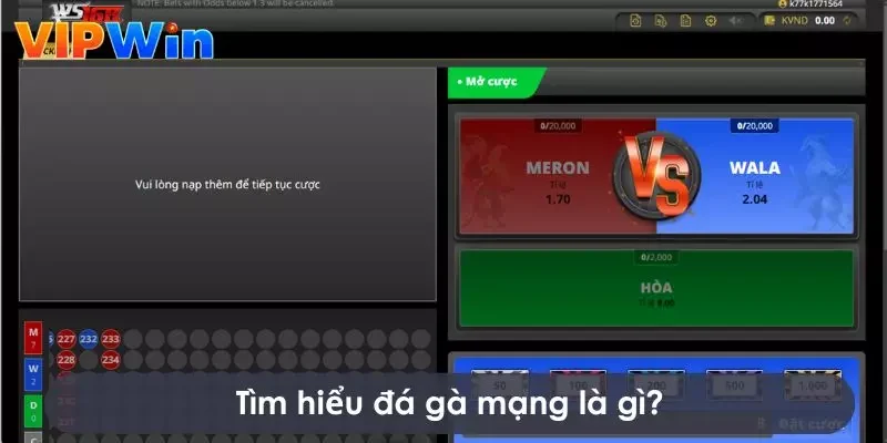 Đá gà mạng Vipwin là hình thức chơi đá gà trực tuyến thú vị