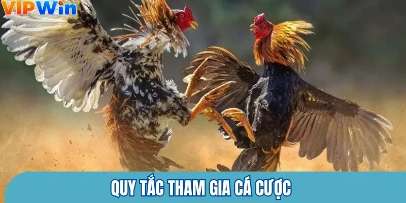 Quy tắc tham gia cá cược