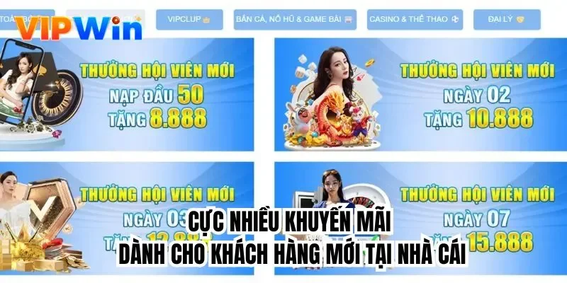 Cực nhiều khuyến mãi dành cho khách hàng mới tại nhà cái