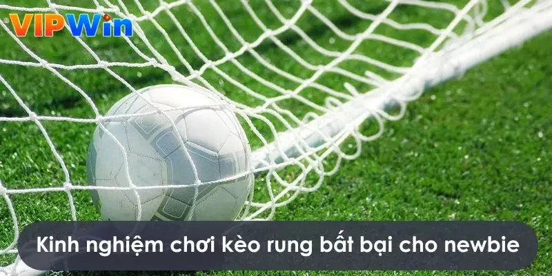 Kinh nghiệm chơi kèo rung