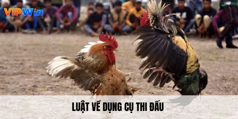 Luật về dụng cụ thi đấu 