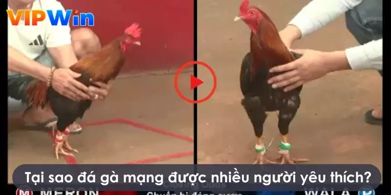 Sân chơi luôn đảm bảo uy tín, minh bạch