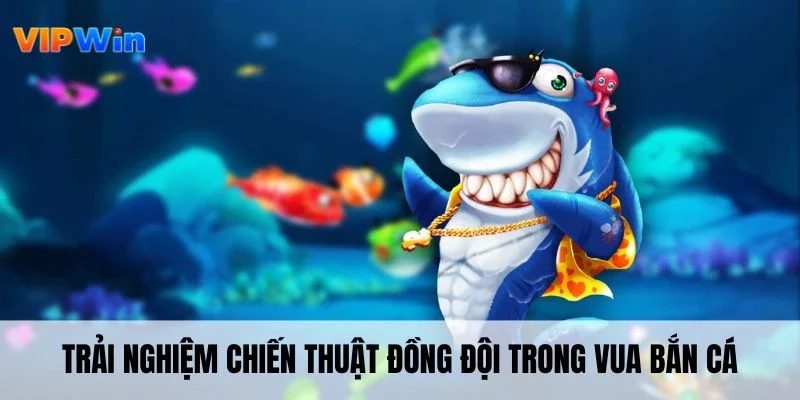 Trải nghiệm chiến thuật đồng đội trong vua bắn cá